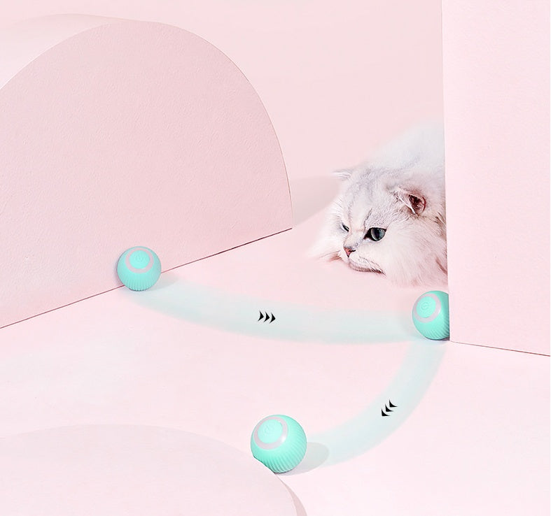 PAWLAND™ Balle Gravitationnelle Intelligente