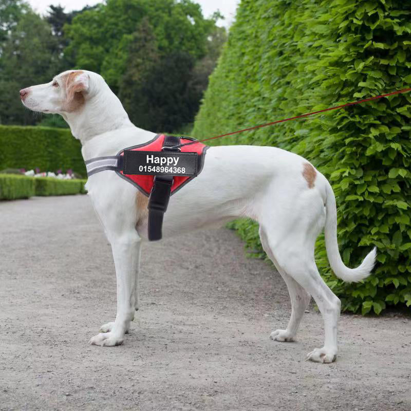 PAWLAND™ Harnais Anti-Traction Personnalisable