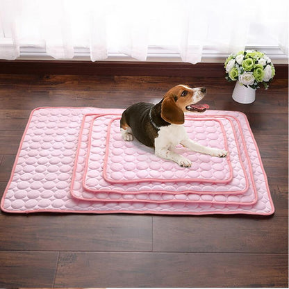 PAWLAND™ Coussin Nid Soie Glacée