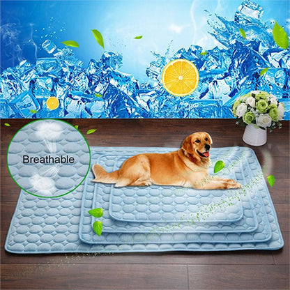 PAWLAND™ Coussin Nid Soie Glacée