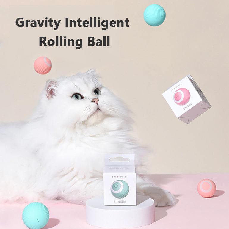 PAWLAND™ Balle Gravitationnelle Intelligente