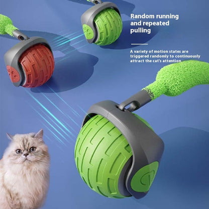 PAWLAND™ Balle Roulante Automatique