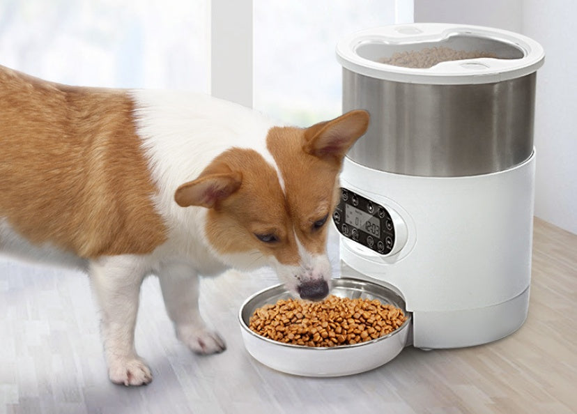 PAWLAND™ Distributeur Intelligent WiFi