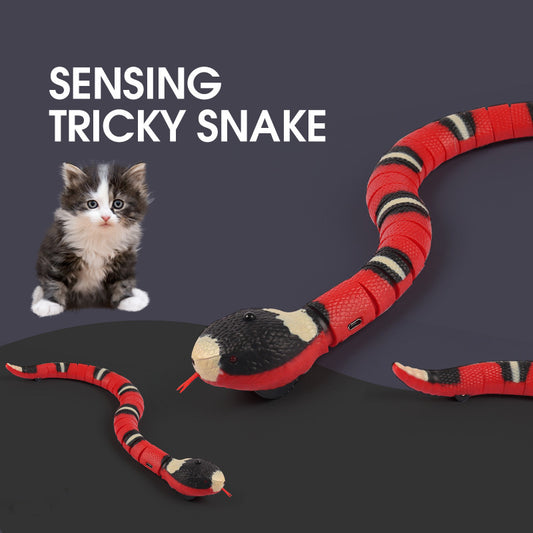 PAWLAND™ Jouet Serpent Intelligent Interactif